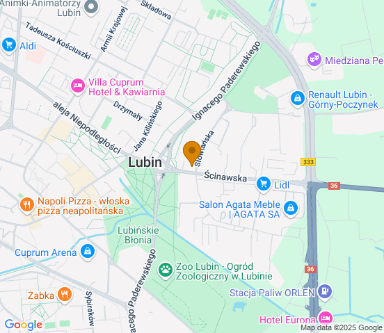 Mapa dojazdu do warsztatu samochodowego w miejscowości Lubin